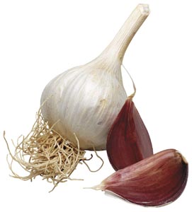 Garlic glove picture