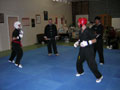 Lisas sparring picture