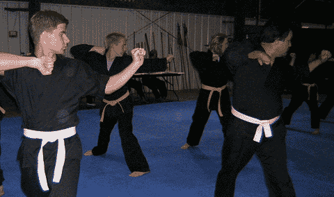 Kung Fu rank test picture