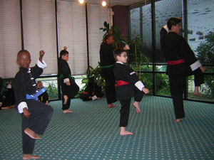 Kung Fu test picture