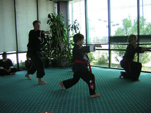 Wang's Martial Arts renk test picture