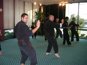 Kung Fu test picture