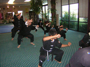 Wang's Martial Arts Kung Fu test picture 