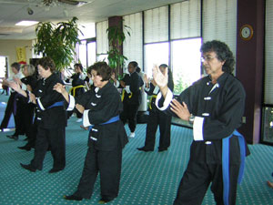 Wang's Martial Arts Tai Chi test picture.